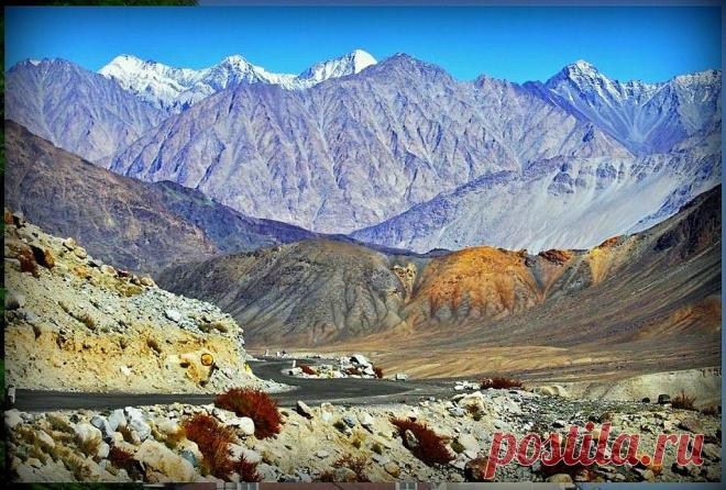 Эхо фотографическое из Гималаев... - 21 Июня 2015 - Персональный сайт