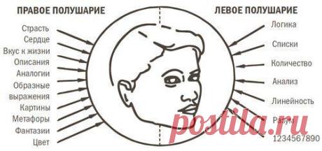 Секрет успеха: логика или эмоции? Подкл / Сферический бизнес