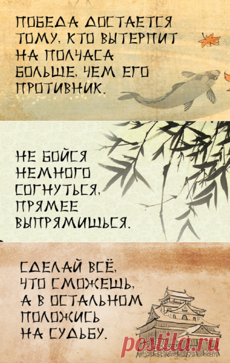 50 японских пословиц, которые острее лезвия ножа — Жизнь под Лампой!