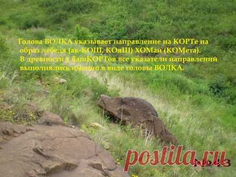 На ритуальном КОРТе лебедя (АК-КОШ, КОяШ) ҺОМай (КОМета) ориентирный указатель в виде головы Волка указывает на лебедя ҺОМай.