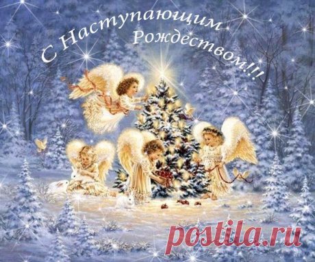 Друзья поздравляю С наступающим Рождеством Христовым. Желаю здоровья, счастья, верных надёжных друзей, которые не отрекутся от тебя в трудную минуту, милости Божией и Его помощи во всех благих начинаниях. С Богом!😇😊😘