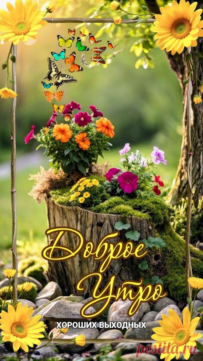 Доброе утро