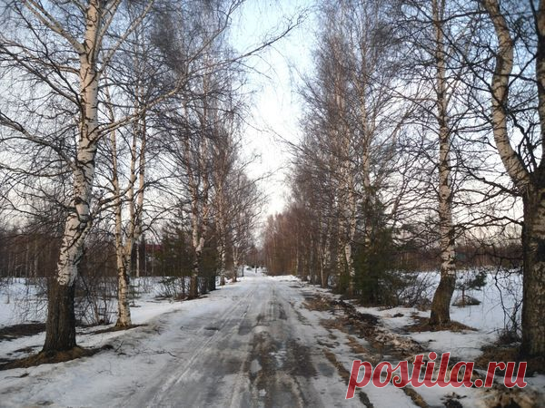 Листаем народный календарь: четвертая неделя марта / Календарь садовода-огородника / 7dach.ru
