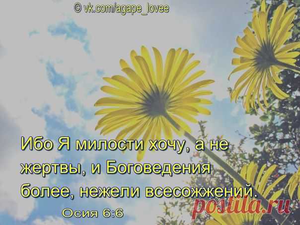 ♥...Агапэ...♥