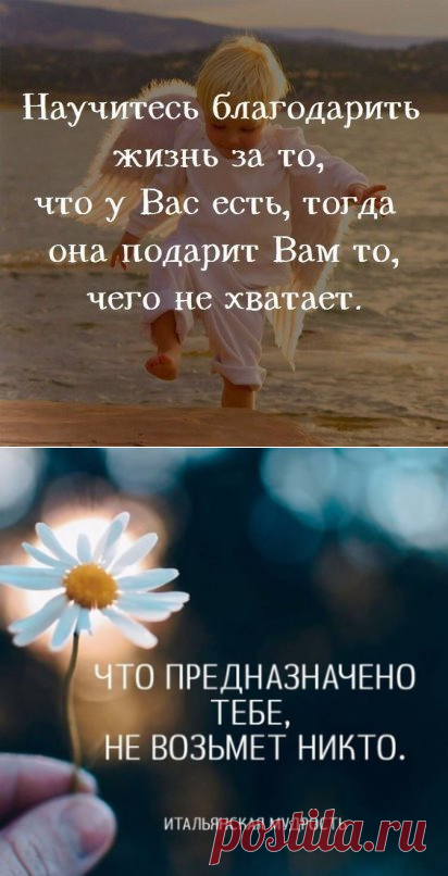 (46) Одноклассники