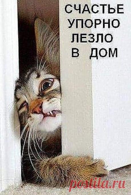 Впустите!!!!