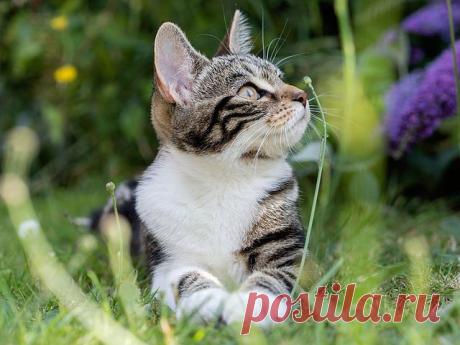 ☆ МИР КРАСИВЫХ ФОТОГРАФИЙ : Группа по интересам. Творчество : Одноклассники