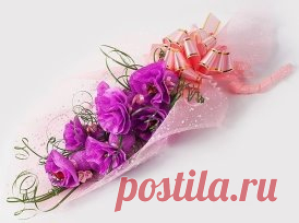 (44) Одноклассники
