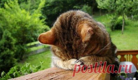 Прожиточный минимум это такая сумма, на которую миллионы сограждан должны жить месяц, а те, кто так решил, столько тратят на туалетную бумагу...