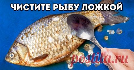 13 хитростей, которые вдвое сократят время на готовку Вот они, драгоценные полчаса для дочки.