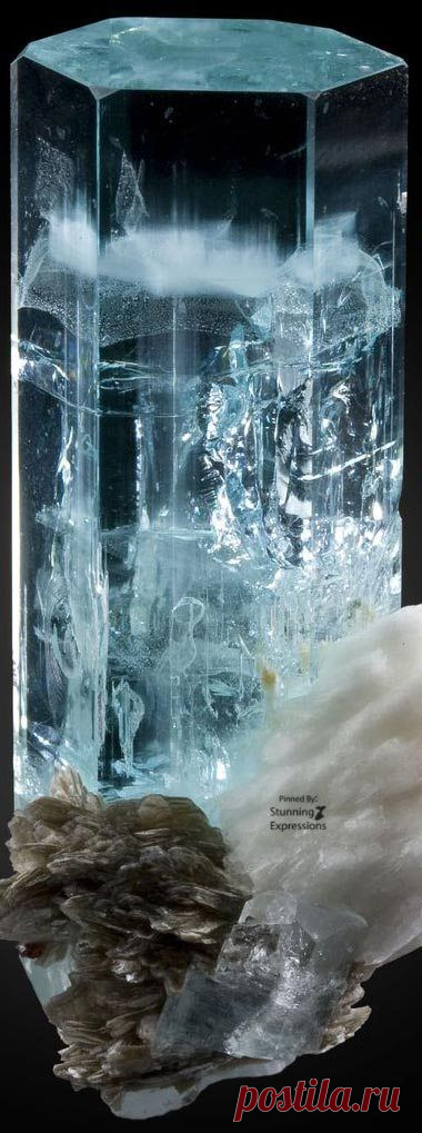 (4) Pinterest