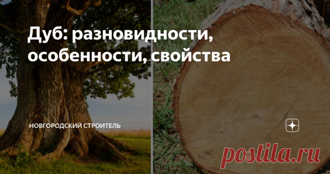 Дуб: разновидности, особенности, свойства 