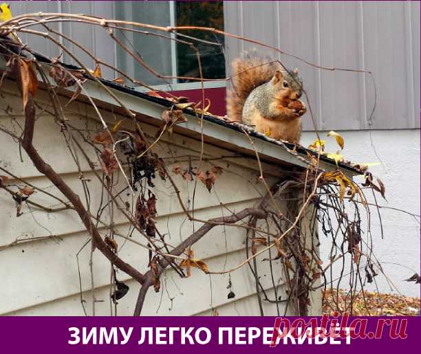 Приколняшка 569 #юмор #приколы #смешные картинки | Чёрт побери