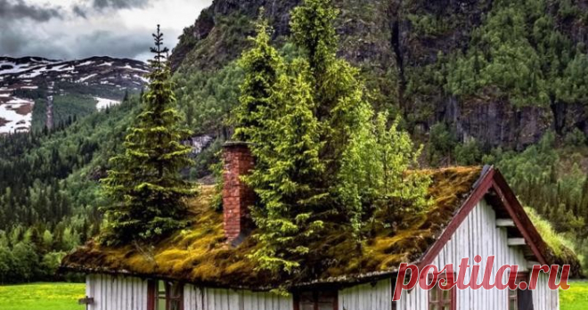Завораживающие фотографии мест, где нас больше нет
