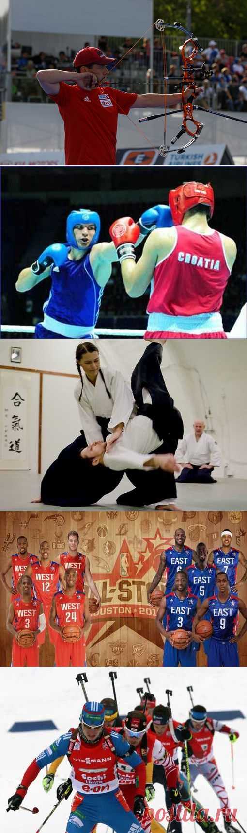 куда входит забота о потомстве (1/1) - Спортивный форум. - Спортивный сайт