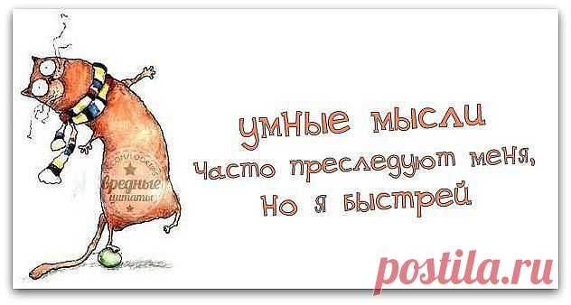 Умные мысли в словах со смыслом;)