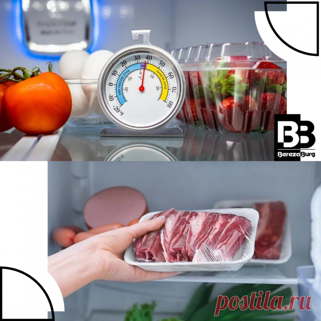 Как долго следует хранить сырой кусок мяса в холодильнике | BerezaBurg дом, сад, огород, кухня | Дзен