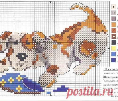 Забавные зверушки