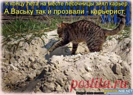 КАРЬЕРИСТ | KotoMail.ru