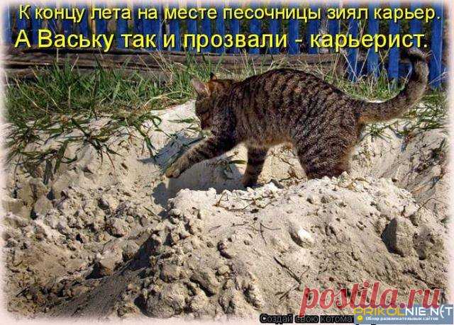 КАРЬЕРИСТ | KotoMail.ru