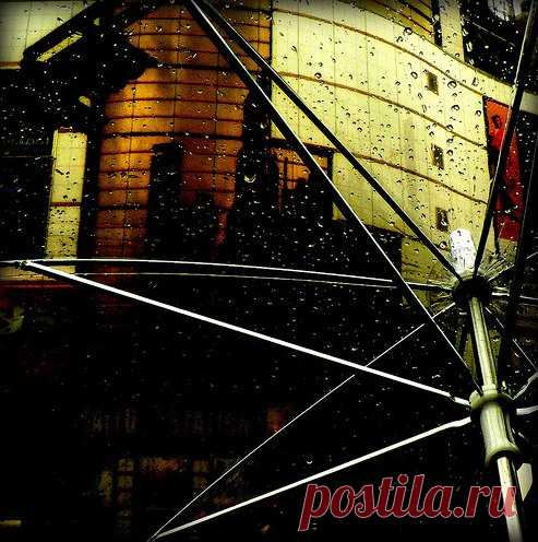 Дождь. Потрясающие фотографии - gori_gori_gori — LiveJournal