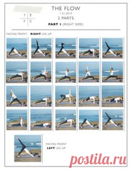 YOGA FLOW & MEDITATION: The Two Wolves — Coreen Murphy