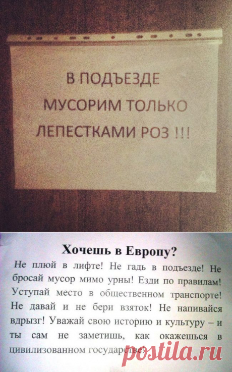 15 душевных объявлений из наших подъездов – Фитнес для мозга
