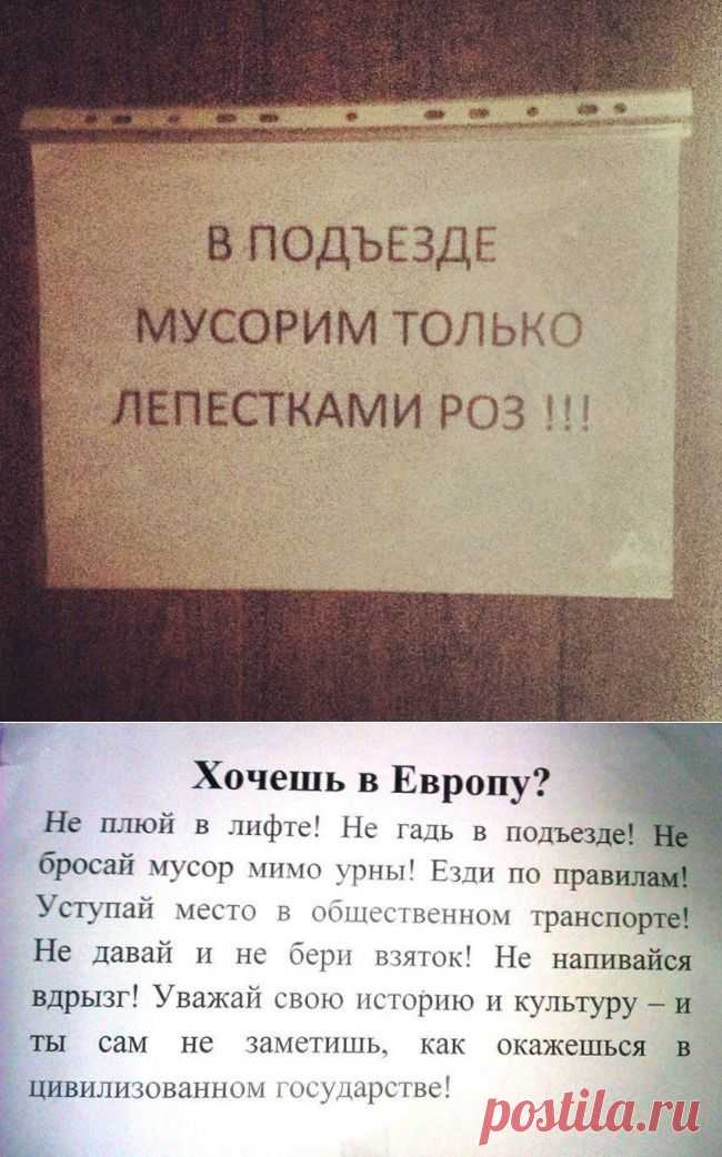 15 душевных объявлений из наших подъездов – Фитнес для мозга