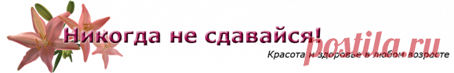торт на черносмородиновом варенье, торт трухлявый пень подробный рецепт | Никогда не сдавайся! Красота, здоровье, народная медицина, здоровый образ жизни, стройная фигура, бизнес дом и семья, полезные советы