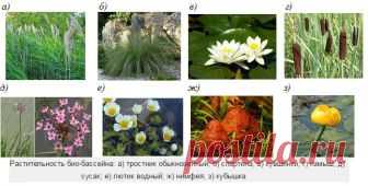 Приусадебные постройки: гостевые дома, гаражи, веранды, бассейны, площадки для отдыха | Тысяча и одна идея