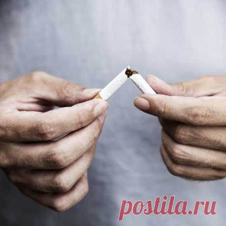 Pinterest • Всемирный каталог идей                            https://www.factroom.ru/science/changes-in-the-human-body-quit-smoking