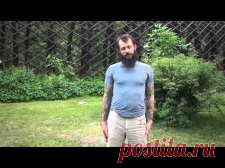 Позвоночник – это вешалка всех болезней. Протестируйте свой позвоночник! | Система активной самообороны Булат