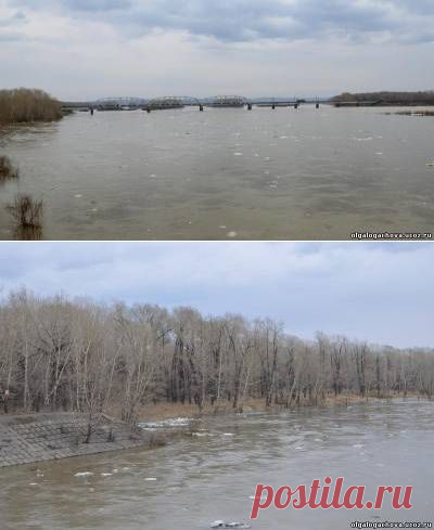 STRELOGOS: стихи и проза - Главная страница Добро пожаловать