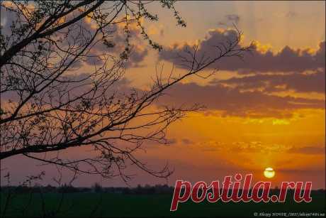Фотопрогулки....Маленький рецепт счастья