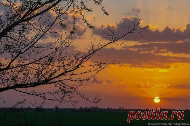 Фотопрогулки....Маленький рецепт счастья