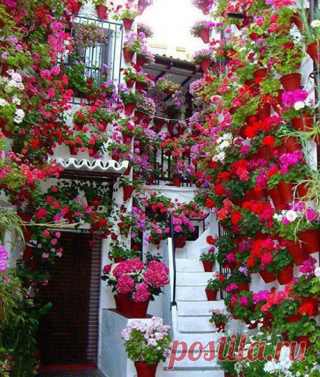• ♥ • ♥ • ♥ ✫ℒℴνℯ✫ ♥ • ♥ • ♥ •