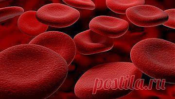 Рецепты для разжижения крови