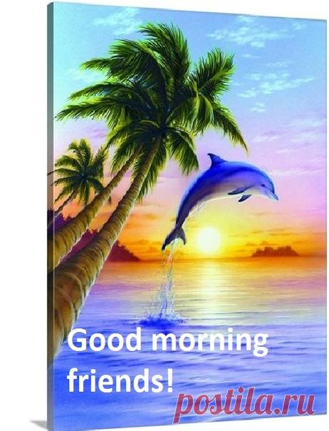 Good morning friends!