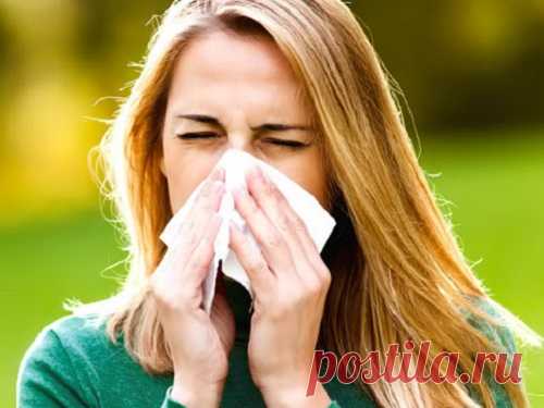 Чихалка по времени и дням недели Наши предки уделяли особое внимание сигналам тела и верили, что каждый из них что-то значит. Благодаря чихалке каждый сможет узнать, что сулит чихание в определенный день недели и время суток.