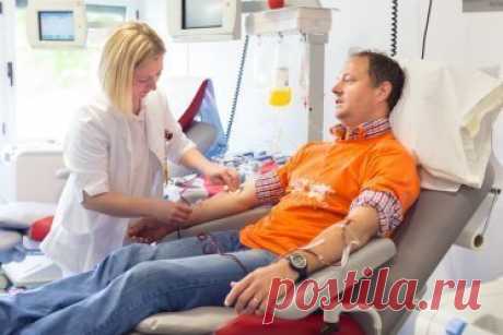 Донорство крови: чем можно поделиться с ближним?