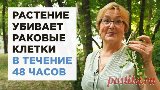 Трава которая убивает раковые клетки в течение 48 часов