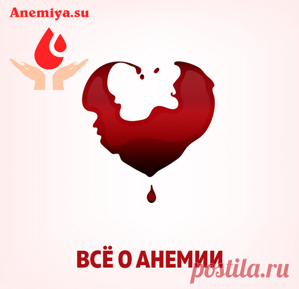 Анемия — что это за болезнь и чем она опасна - ответы гемолога