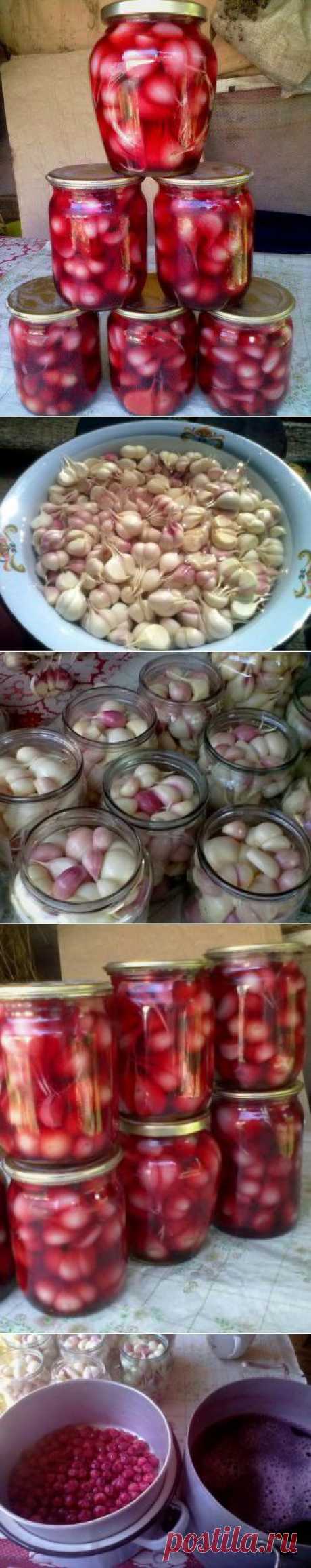 g&gt;Чеснок в вишне маринованный.