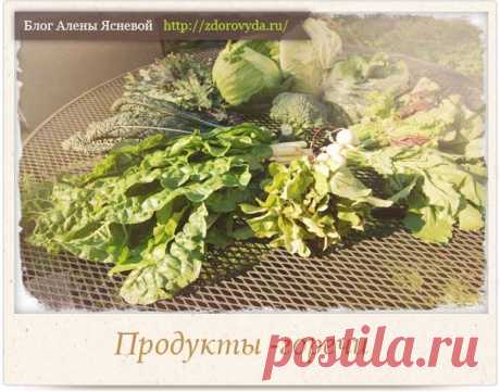 Продукты для улучшения пищеварения -полный подробный список