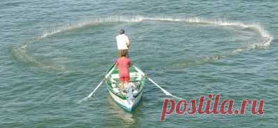 Azovseti.ru 
8-909-431-19-92
cast net, кастинговые сети американского типа ,намет ,покрышка,накидка