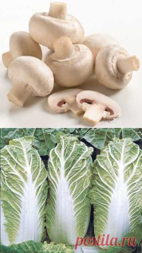 Фрутомания , ООО - ,+79032503525,Москва,127273, г. Москва, ул. Сигнальный проезд, дом 16