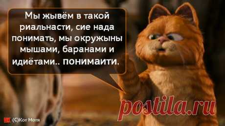 Блог Кота Моти. 
Тэкс...подождити...кажыся кот чо то фспомнил....чо то такоя я смутна припминаю...щас я ..тиха...я запомнил сие число и скриник сунул кой какой в мишочик сибе...щас я приволоку...точна