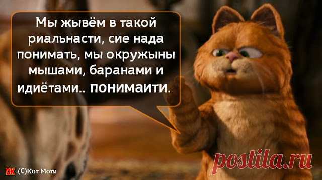 Блог Кота Моти. 
Тэкс...подождити...кажыся кот чо то фспомнил....чо то такоя я смутна припминаю...щас я ..тиха...я запомнил сие число и скриник сунул кой какой в мишочик сибе...щас я приволоку...точна
