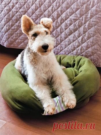 Идеи по переделке старых вещей