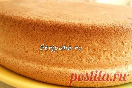 Бисквит (секрет приготовления) — Домашняя кулинария